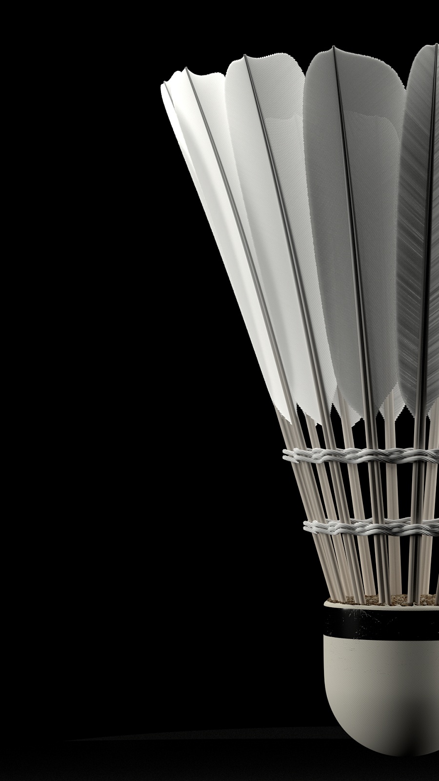 在热身赛中 在热身赛中