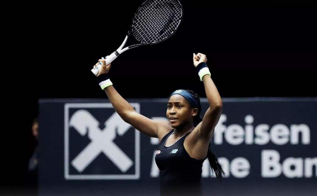 对抗性与合 对抗性与合